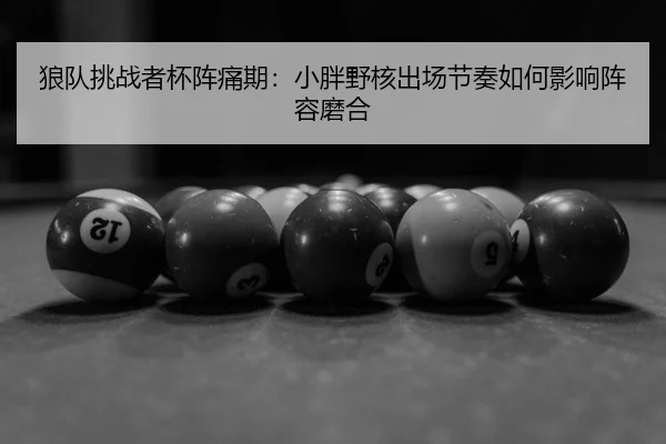 狼队挑战者杯阵痛期：小胖野核出场节奏如何影响阵容磨合